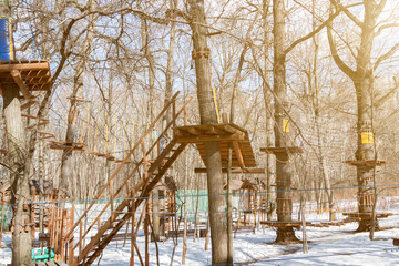 Wooden platform on tree in rope climb park in spring forest. wooden base in trunk of tree, ladder and ropes at forest