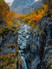 Rocky mountains, canyon and autumnal trees. Mountain landscape with river