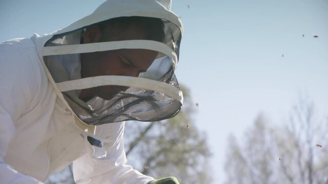 BEEKEEPING - Beekeeper removes a frame for inspection, slow motion medium shot
