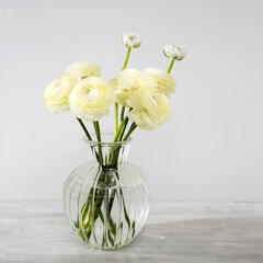 the bouquet of pale yellow persian buttercups in the glass vase
