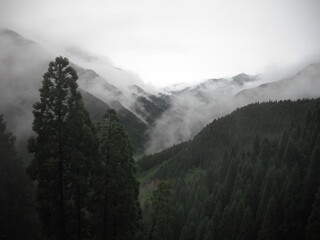 山林と霧