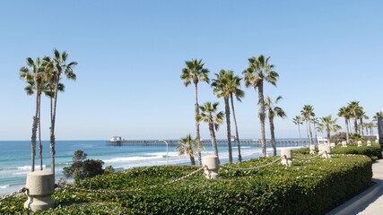 Pacific ocean beach, green palm trees and pier. Sunny day, tropical waterfront resort. Vista viewpoint in Oceanside, near Los Angeles California USA. Summer sea coast aesthetic, seascape and blue sky.