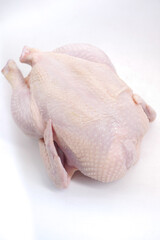  raw whole chicken on white background 