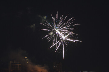 Fireworks light up the sky with dazzling display