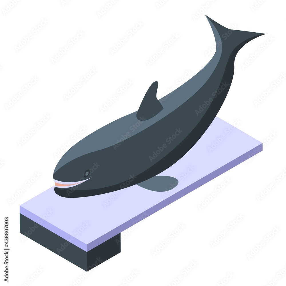 Poster killer whale on springboard icon. isometric of killer whale on springboard vector icon for web desig
