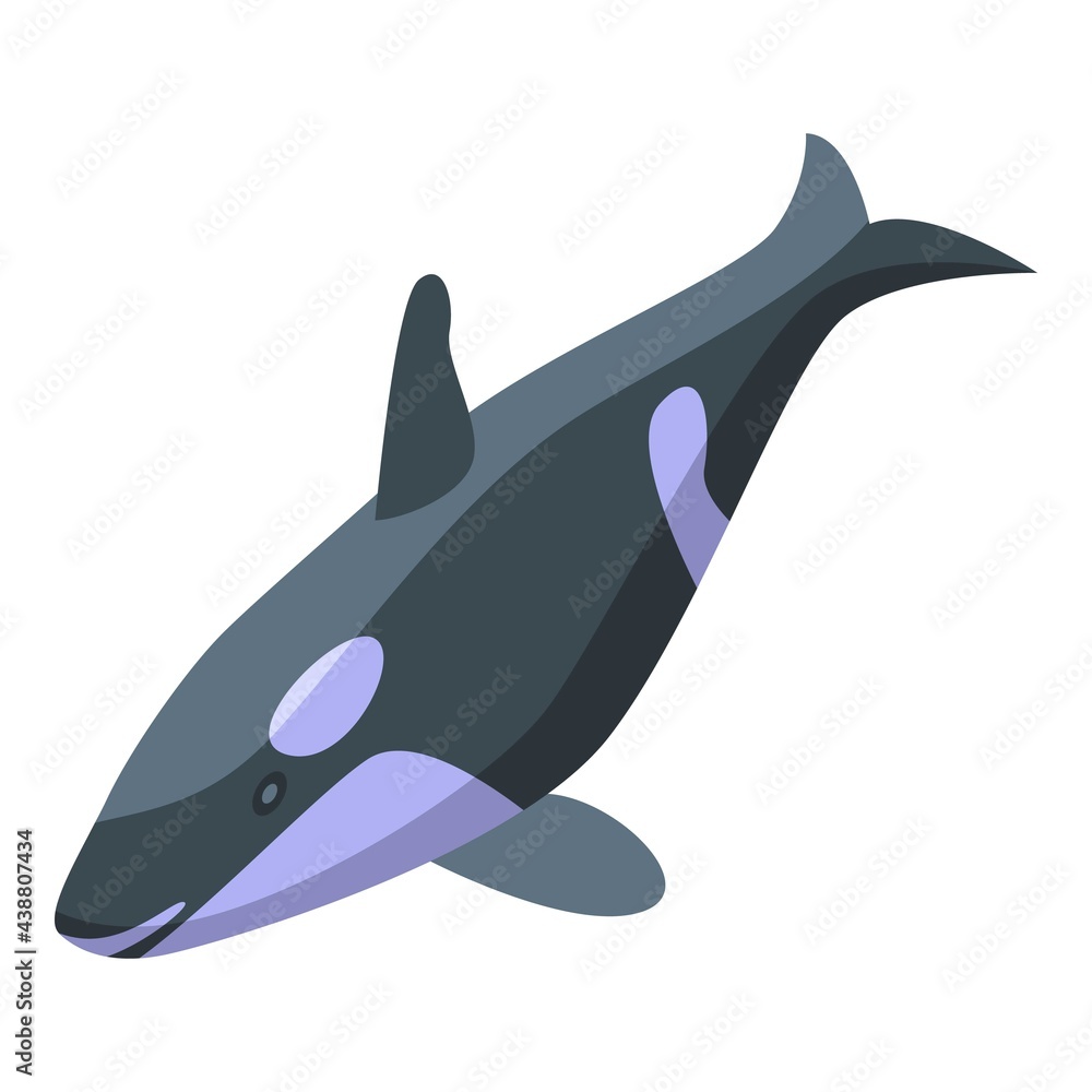 Poster large killer whale icon. isometric of large killer whale vector icon for web design isolated on whit