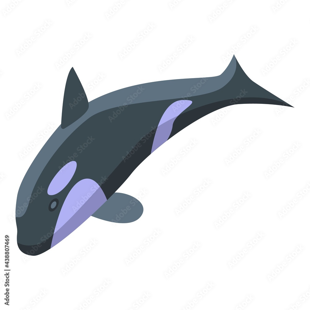 Wall mural Killer whale hunts icon. Isometric of Killer whale hunts vector icon for web design isolated on white background