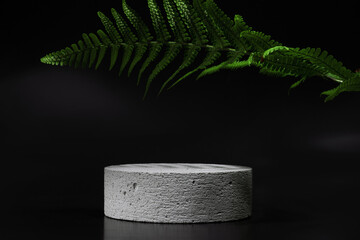 Cylindrical concrete stone gray podium on black background with reflection and tropical fern leaves. Minimal empty cosmetic product presentation scene. Geometric podium.