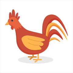 Rooster colored icon in flat style. Vector icon for design isolated on white background.