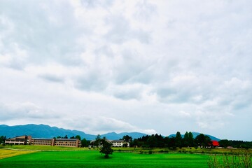 蒜山高原の風景