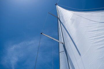 Fototapeta premium Yacht sails on clear blue sky background. Sailing with the wind at open sea ocean, summer holidays