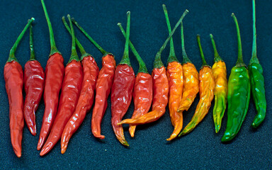 Top view of lined up chillies in assorted colours with black background