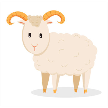 A ram is a pet living on a farm. Young lamb cartoon character isolated on white background. Cute farm animal. Vector in flat style. Isolated on white background.