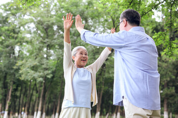 Happy old couple looking at the scenery in the park