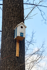birdhouse on a tree trunk in spring park