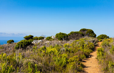 Fototapeta na wymiar Dirt Track hiking trail on top of a mountain by the coast