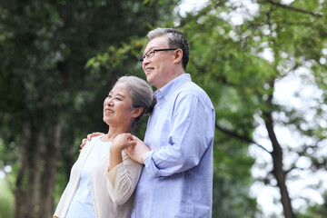 Happy old couple walking in the park