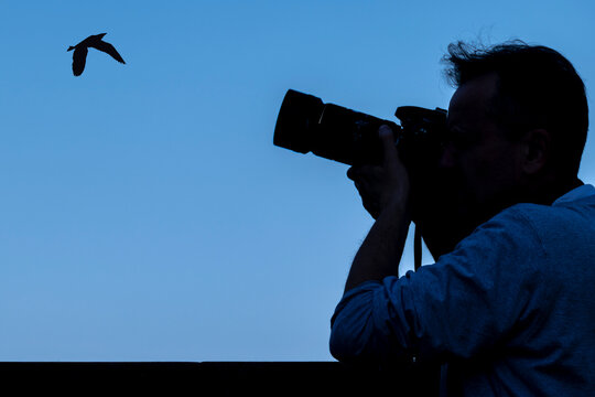 Silhouette of a photographer who is photographing a bird against the blue sky