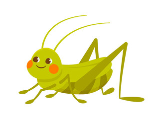 Cute green smiling grasshopper on white background