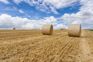 Fototapeta premium Straw bales stacked in a field at summer time, Reims