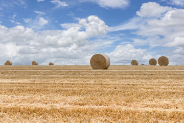 Straw bales stacked in a field at summer time, Reims