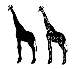 Vector giraffe standing black silhouette.Isolated on white with hand drawn lines. Animal art graphic decoration. Wildlife African mammal. Jungle 