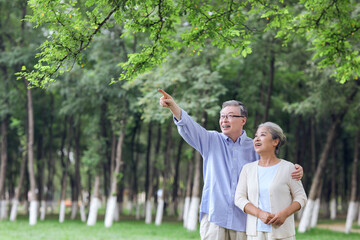 Happy old couple looking at the scenery in the park