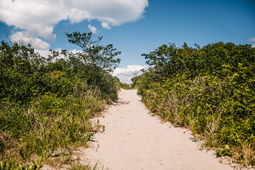 Walking on a trail to reach a Brazilian beach with lots of green forest and radiant sun - Lifestyle and Travel