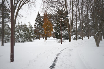 City park covered with snow.