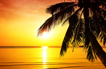 Fototapeta na wymiar Coconut palm tree against colorful sunset on the beach in Phuket, Thailand.