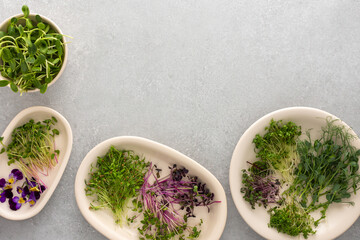 Different types of useful microgreens on plates, top view