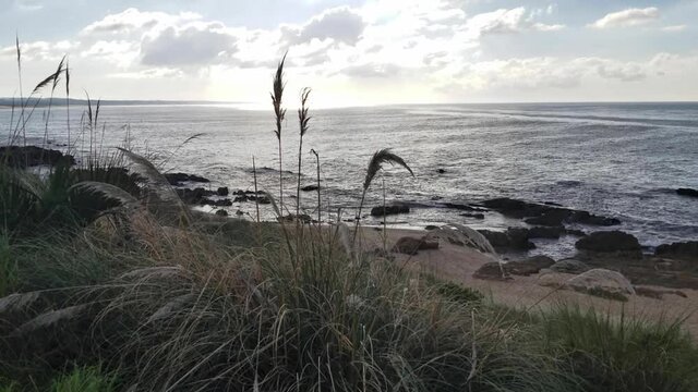 Cliff Rocks Sea Plumerillo