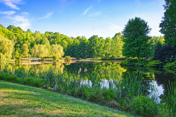 View of the Lake with Wooden Bridge ithe Background