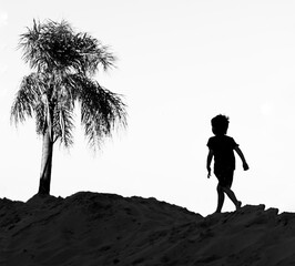 silhouette of a child walking on the beach towards a palm tree, horizontal, copy space, black and white