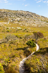 Fototapeta na wymiar Dirt Track hiking trail on top of a mountain by the coast