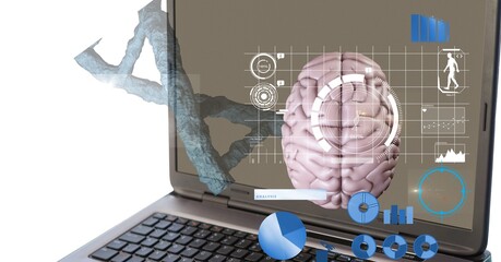 Composition of human brain and medical data processing over laptop computer