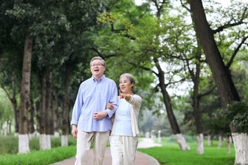 Happy old couple walking in the park