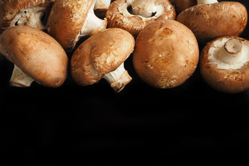 Edible mushrooms, brown-capped champignons on a black background. High quality photo