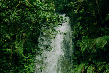 Waterfall in the rainforest background image