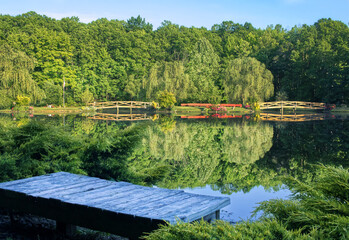 Bench by a lake in the forest 