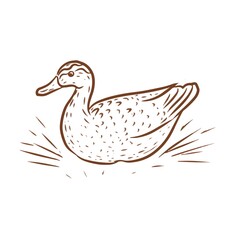 Birds home farm chickens ducks roosters turkeys vector graphic illustration hand-drawn. Engraving color print textile products meat background