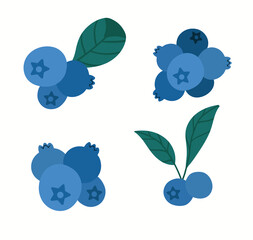 fresh blueberries with leaves isolated on white. Flat vector illustration
