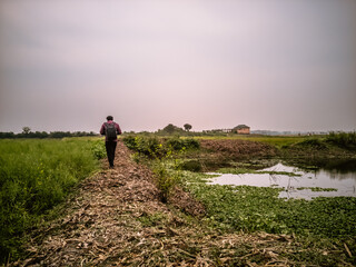 Young man taking photographs with digital camera at field paddy. Travel and active lifestyle concept