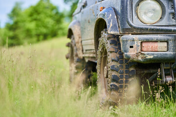 Offroad car by the forest