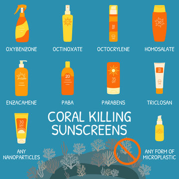 Sunscreen ingredients that can kill coral reefs. Chemical sea pollution infographic. Skincare chemicals and coral reefs. Reef safe sunscreen. Hand drawn vector illustration.