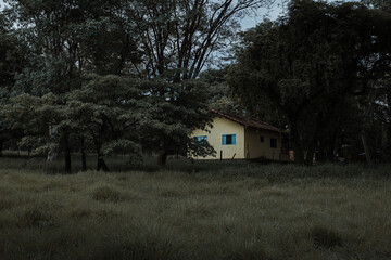 old house in the woods