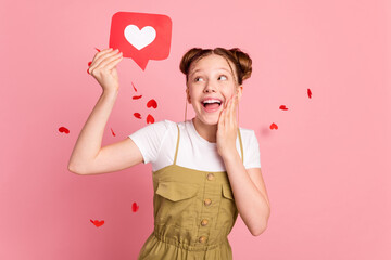 Portrait of attractive trendy cheerful amazed girl holding heart message blog isolated over pink...