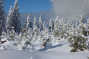Winter in der Steiermark