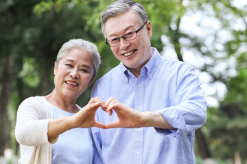 Happy old couple walking in the park