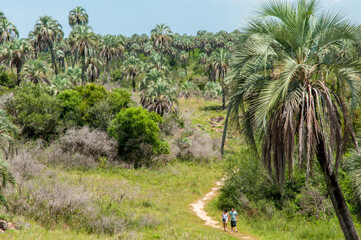 Parque Nacional El Palmar, Entre Rios, Argentina.